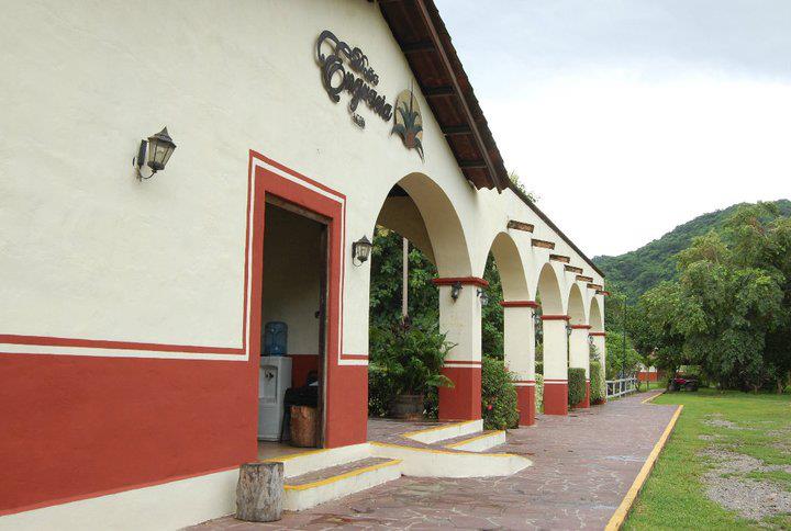 Tequila Experience in Puerto Vallarta, Jalisco