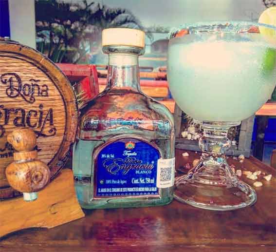 Tequila Experience in Ensenada