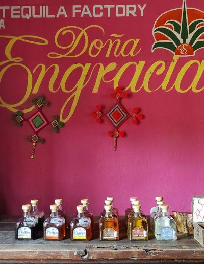 Tequila tour tasting in Puerto Vallarta